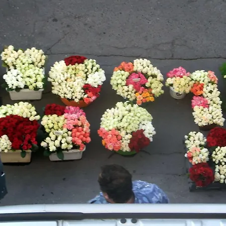 Отель Westa